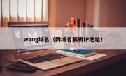wang域名（网域名解析IP地址）